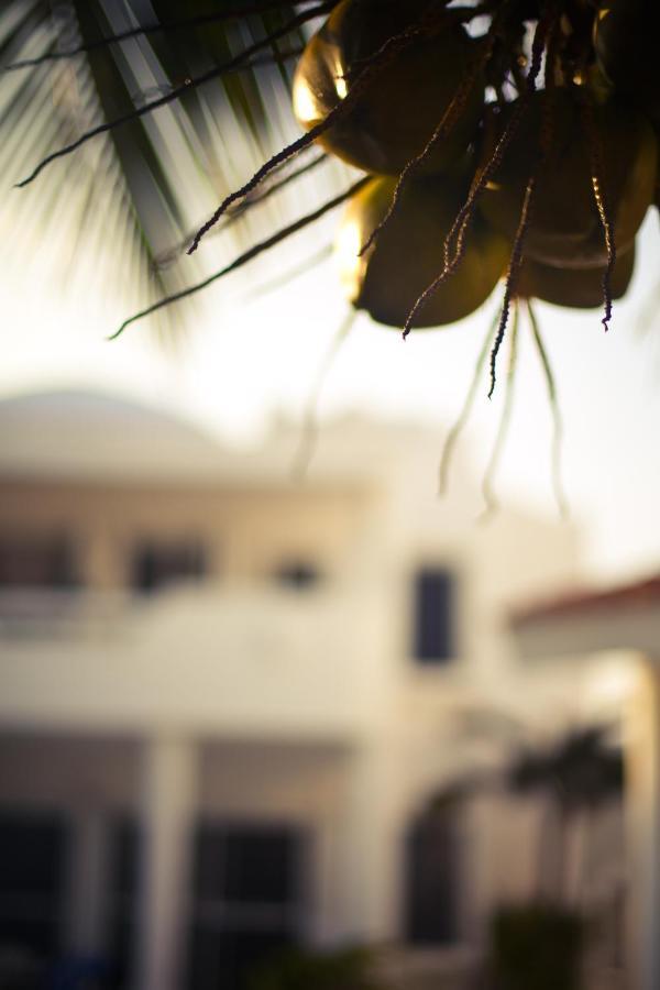 Villas Flamingo Akumal Εξωτερικό φωτογραφία